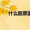 什么膠原蛋白好（比較好的膠原蛋白）