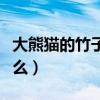 大熊貓的竹子實際上是什么（竹子實際上是什么）