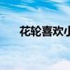花輪喜歡小丸子嗎（三大原因告訴你）