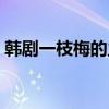 韓劇一枝梅的主要劇情（講述的是什么故事）