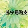 蘇寧易購支付牌照（蘇寧易購電話支付）