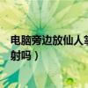 電腦旁邊放仙人掌可以防輻射嗎（電腦旁放仙人掌可以防輻射嗎）