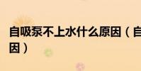 自吸泵不上水什么原因(自吸泵不上水什么原因)