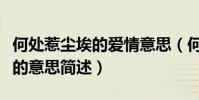 何處惹塵埃的愛情意思(何處惹塵埃在愛情里的意思簡述)