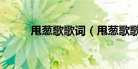 甩蔥歌歌詞(甩蔥歌歌詞是什么)