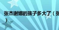 張杰謝娜的孩子多大了(張杰謝娜的孩子幾歲)