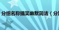 分組名稱搞笑幽默簡潔(分別有哪些好聽的)