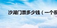 沙湖門票多少錢(一個很漂亮的地方)