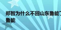 鄭智為什么不回山東魯能了 鄭智為什么不回魯能