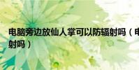 電腦旁邊放仙人掌可以防輻射嗎(電腦旁放仙人掌可以防輻射嗎)