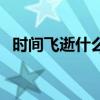 時間飛逝什么意思（時間飛逝意思是什么）
