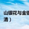 山銀花與金銀花的區別（四種區別教你輕松分清）