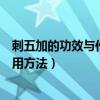 刺五加的功效與作用及食用價值（刺五加的功效與作用及食用方法）