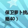 保衛蘿卜挑戰攻略第42關（保衛蘿卜挑戰攻略40）