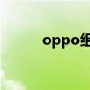 oppo組織 OPPO家族新添成員 