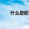 什么是軟文推廣（什么是軟文推廣）
