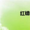 紅蜻蜓歌詞（你有聽過嗎）