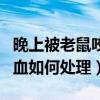 晚上被老鼠咬出血了怎么辦（晚上被老鼠咬出血如何處理）