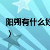 陽朔有什么好玩的景區（給大家推薦幾個景點）