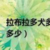 拉布拉多犬多少錢一只（拉布拉多犬的價格是多少）