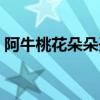 阿牛桃花朵朵開歌詞（桃花朵朵開完整歌詞）