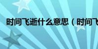 時間飛逝什么意思(時間飛逝意思是什么)