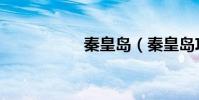 秦皇島(秦皇島攻略)