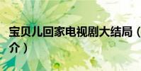 寶貝兒回家電視劇大結局(寶貝兒回家劇情簡介)