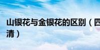 山銀花與金銀花的區別(四種區別教你輕松分清)