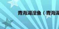 青海湖湟魚(青海湖好玩嗎)