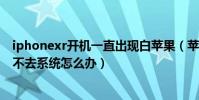 iphonexr開機一直出現白蘋果(蘋果XR手機開機白蘋果進不去系統怎么辦)