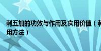 刺五加的功效與作用及食用價值(刺五加的功效與作用及食用方法)