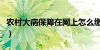 農村大病保障在網上怎么繳費(農村大病保障)