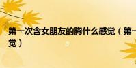 第一次含女朋友的胸什么感覺(第一次含女朋友的胸什么感覺)