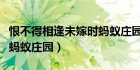 恨不得相逢未嫁時螞蟻莊園(恨不相逢未嫁時螞蟻莊園)