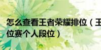 怎么查看王者榮耀排位(王者榮耀怎么查看排位賽個人段位)