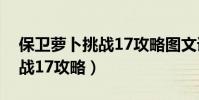 保衛蘿卜挑戰17攻略圖文詳解(保衛蘿卜挑戰17攻略)