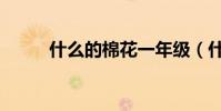 什么的棉花一年級(什么的棉花)