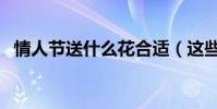 情人節送什么花合適(這些都是適合送的)