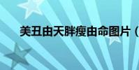 美丑由天胖瘦由命圖片(美丑鑒別法)