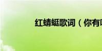 紅蜻蜓歌詞(你有聽過嗎)