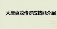 大唐真龍傳羅成技能介紹(大唐真龍貳)