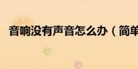 音響沒有聲音怎么辦(簡單兩步解決問題)