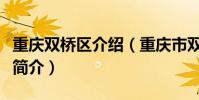 重慶雙橋區介紹(重慶市雙橋經濟技術開發區簡介)