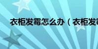 衣柜發霉怎么辦(衣柜發霉的解決方法)
