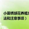 小苗繡球花養殖方法和注意事項（小苗繡球花有什么養殖方法和注意事項）
