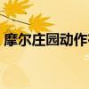 摩爾莊園動作在哪解鎖（摩爾莊園動作在哪）
