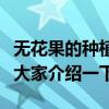 無花果的種植技術和田間管理技術（下面就給大家介紹一下）