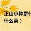 正山小種是什么茶能永久保存嗎（正山小種是什么茶）