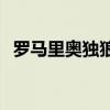 羅馬里奧獨狼進球視頻 羅馬里奧 獨狼 為什么 